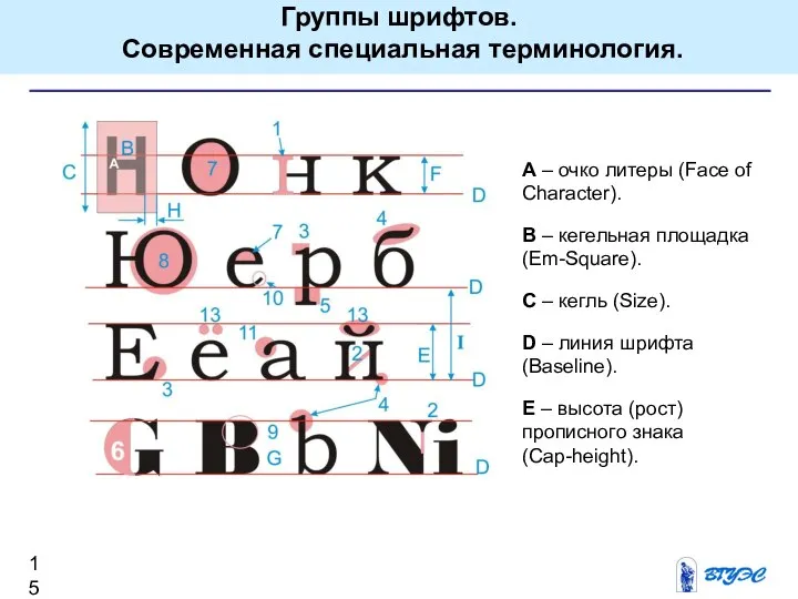 Группы шрифтов. Современная специальная терминология. А – очко литеры (Face of