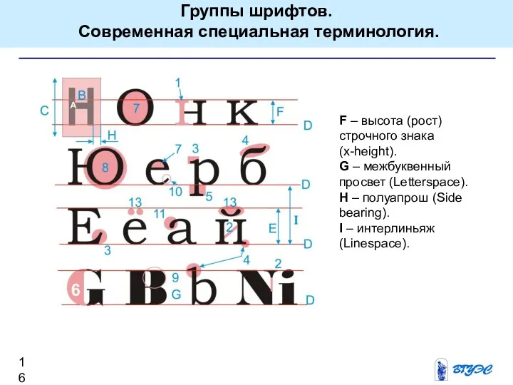 F – высота (рост) строчного знака (x-height). G – межбуквенный просвет