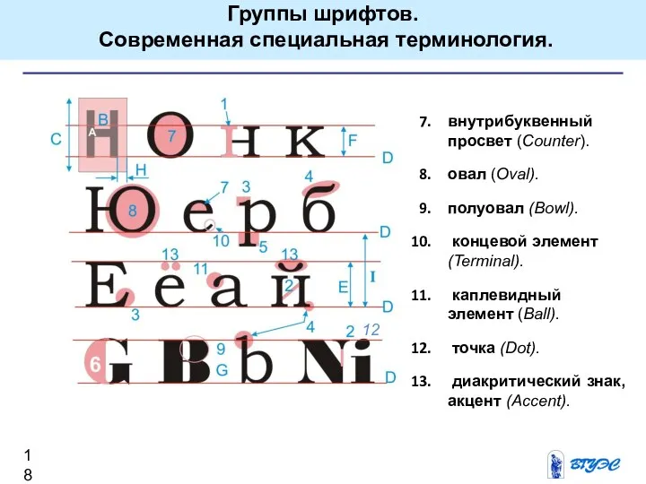 внутрибуквенный просвет (Counter). овал (Oval). полуовал (Bowl). концевой элемент (Terminal). каплевидный