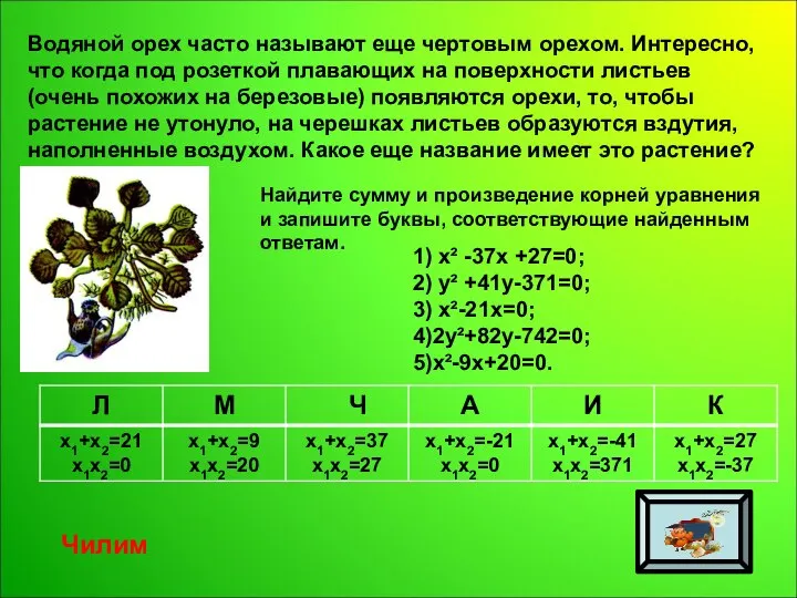 Водяной орех часто называют еще чертовым орехом. Интересно, что когда под