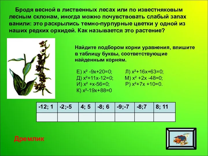 Бродя весной в лиственных лесах или по известняковым лесным склонам, иногда