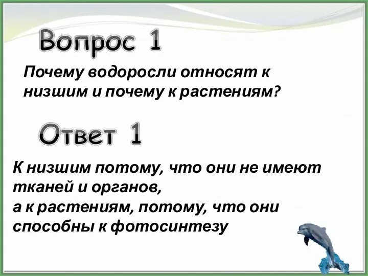 Почему водоросли относят к низшим и почему к растениям? К низшим