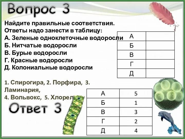 Найдите правильные соответствия. Ответы надо занести в таблицу: А. Зеленые одноклеточные