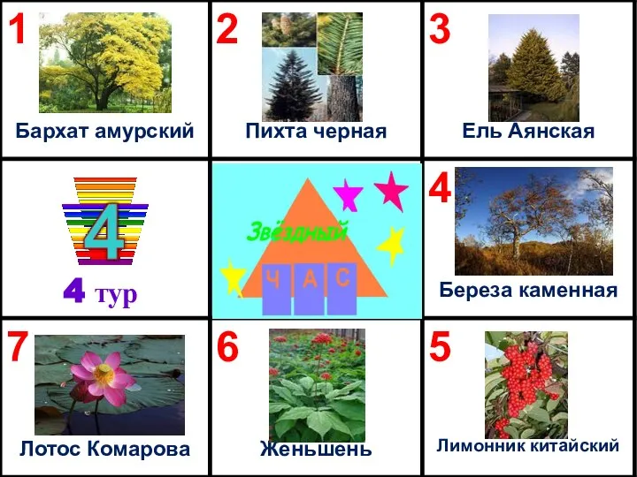 4 тур