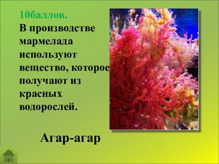 10баллов. В производстве мармелада используют вещество, которое получают из красных водорослей. Агар-агар