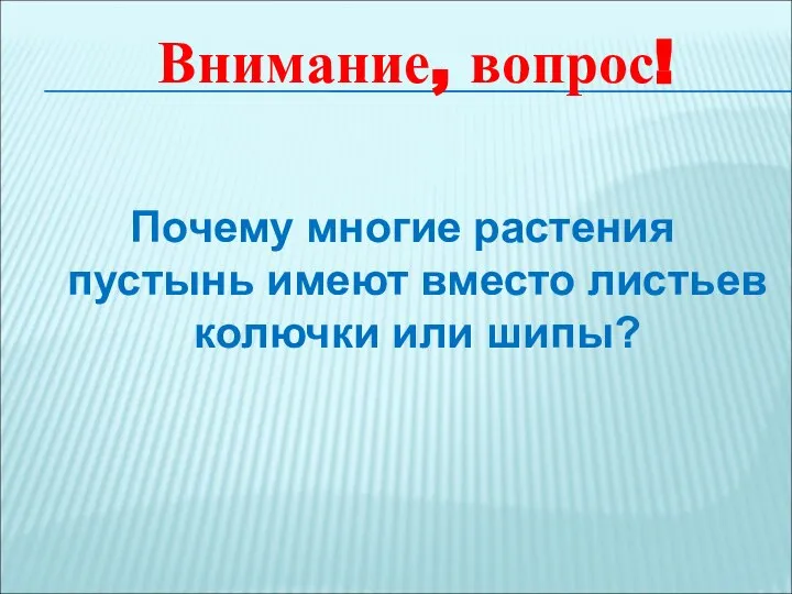 Почему многие растения пустынь имеют вместо листьев колючки или шипы? Внимание, вопрос!