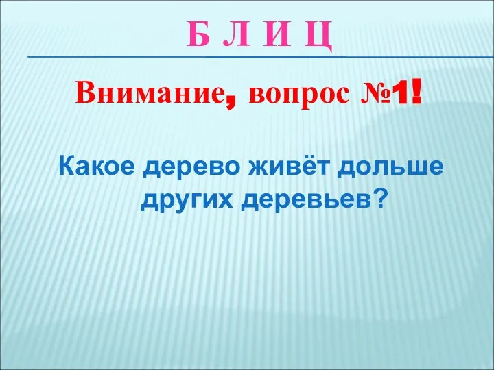 Какое дерево живёт дольше других деревьев? Внимание, вопрос №1! Б Л И Ц