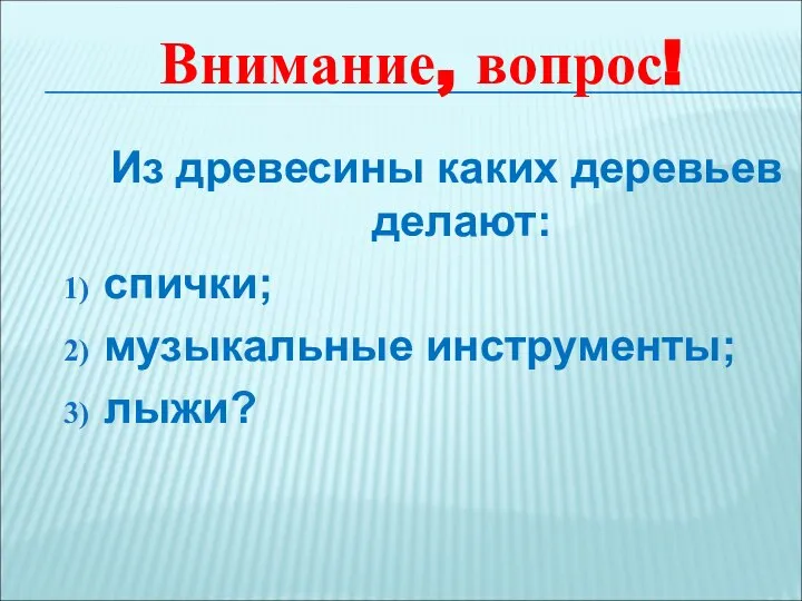 Из древесины каких деревьев делают: спички; музыкальные инструменты; лыжи? Внимание, вопрос!