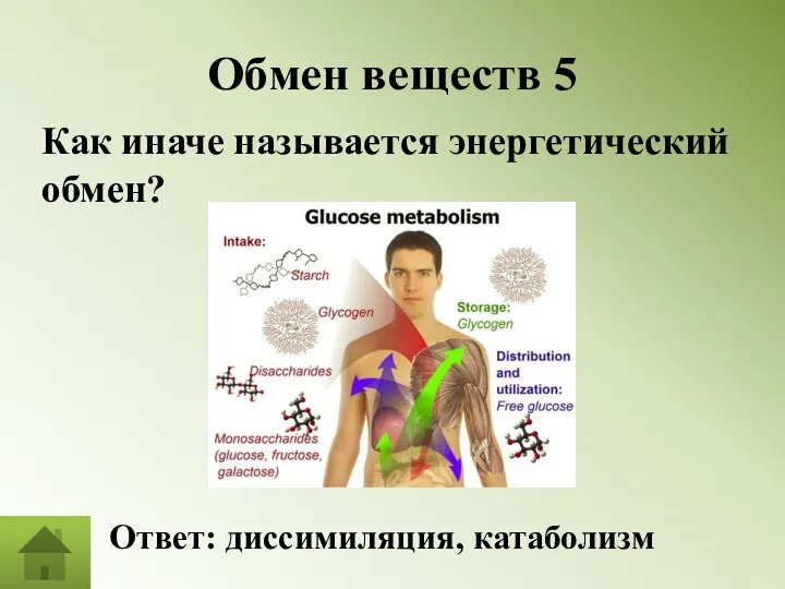 Обмен веществ 5 Как иначе называется энергетический обмен? Ответ: диссимиляция, катаболизм