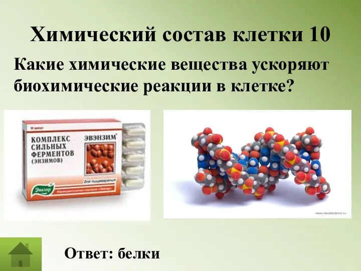 Химический состав клетки 10 Какие химические вещества ускоряют биохимические реакции в клетке? Ответ: белки