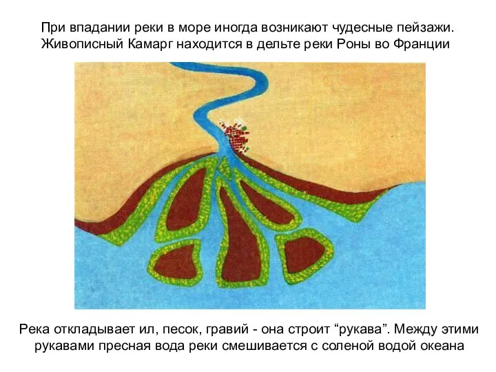 При впадании реки в море иногда возникают чудесные пейзажи. Живописный Камарг