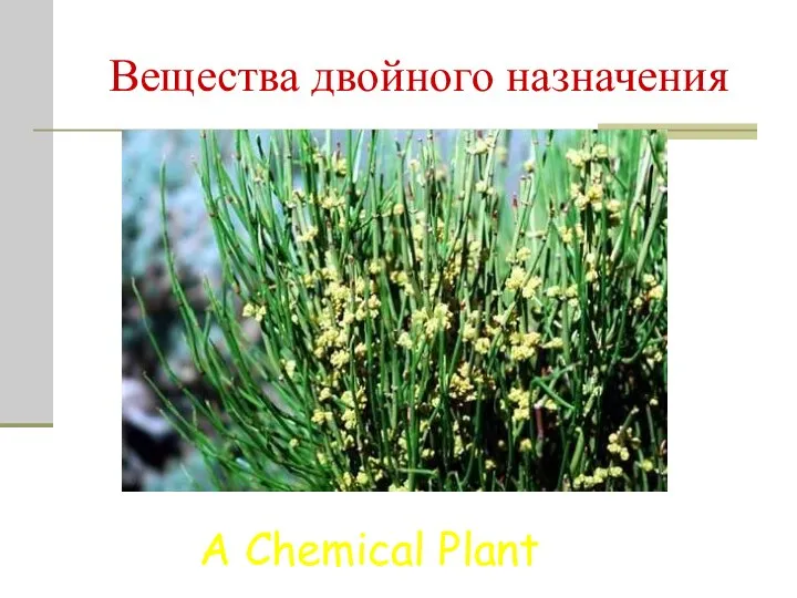 Вещества двойного назначения A Chemical Plant