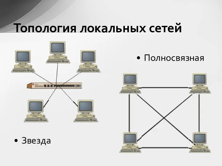 Звезда Полносвязная Топология локальных сетей