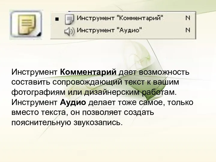 Инструмент Комментарий дает возможность составить сопровождающий текст к вашим фотографиям или