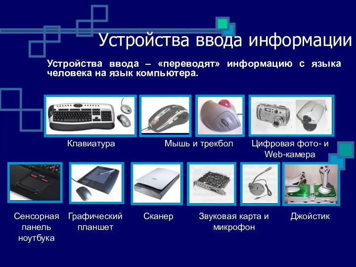 Устройства ввода информации Клавиатура Мышь и трекбол Сенсорная панель ноутбука Графический