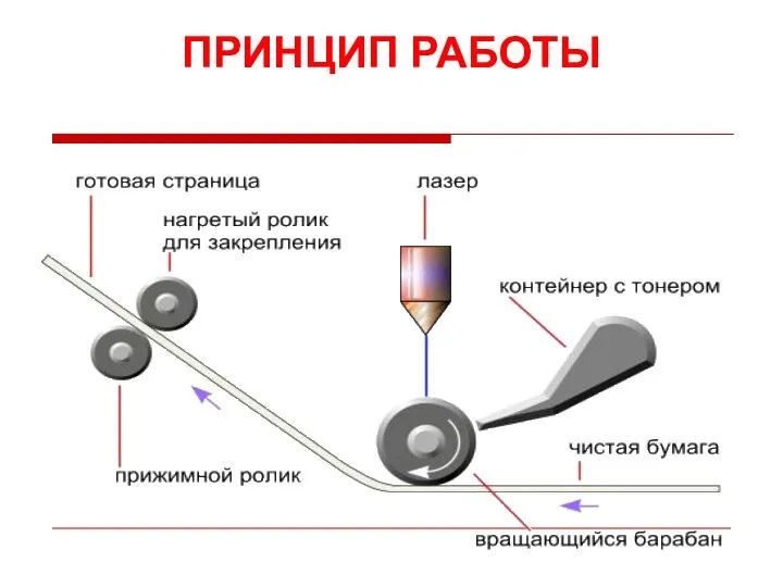 ПРИНЦИП РАБОТЫ