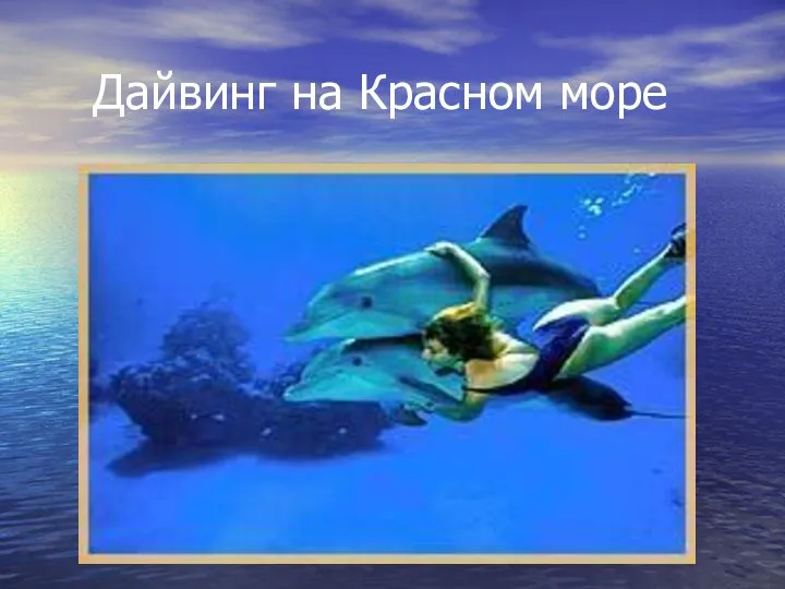 Дайвинг на Красном море