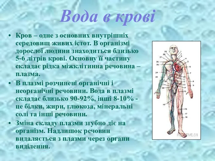 Вода в крові Кров – одне з основних внутрішніх середовищ живих