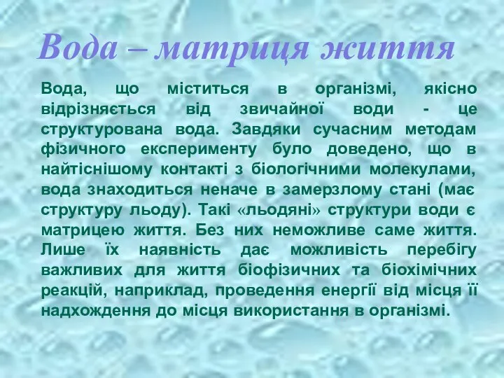 Вода – матриця життя Вода, що міститься в організмі, якісно відрізняється