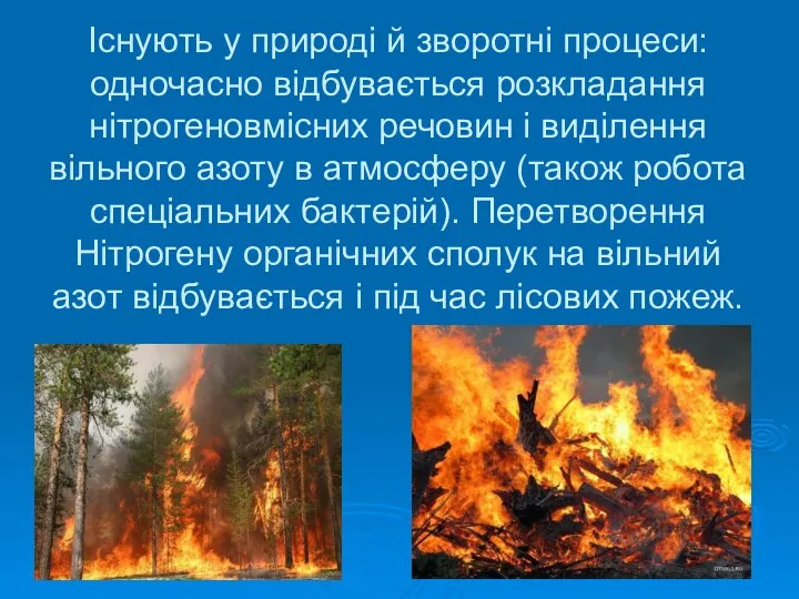 Існують у природі й зворотні процеси: одночасно відбувається розкладання нітрогеновмісних речовин