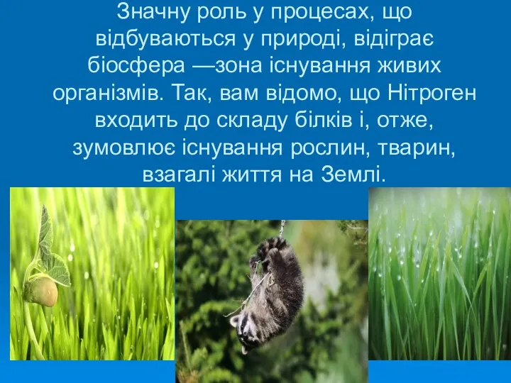 Значну роль у процесах, що відбуваються у природі, відіграє біосфера —зона