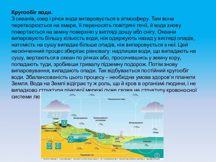 Кругообіг води. З океанів, озер і річок вода випаровується в атмосферу.