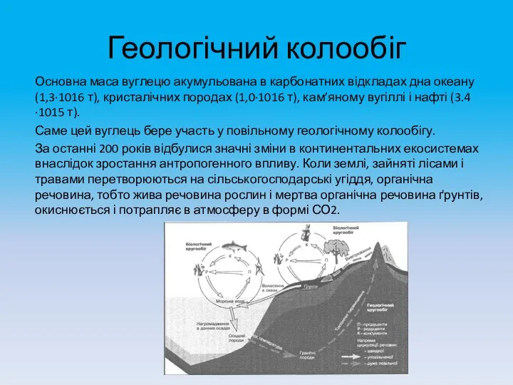 Геологічний колообіг Основна маса вуглецю акумульована в карбонатних відкладах дна океану