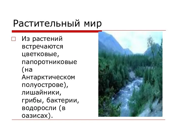 Растительный мир Из растений встречаются цветковые, папоротниковые (на Антарктическом полуострове), лишайники, грибы, бактерии, водоросли (в оазисах).