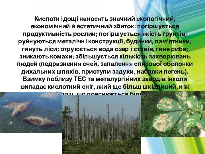 Кислотні дощі наносять значний екологічний, економічний й естетичний збиток: погіршується продуктивність