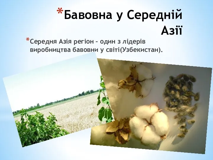 Бавовна у Середній Азії Середня Азія регіон – один з лідерів виробництва бавовни у світі(Узбекистан).