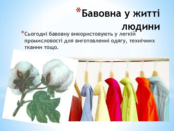 Бавовна у житті людини Сьогодні бавовну використовують у легкій промисловості для виготовленні одягу, технічних тканин тощо.