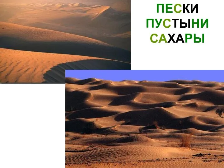 ПЕСКИ ПУСТЫНИ САХАРЫ