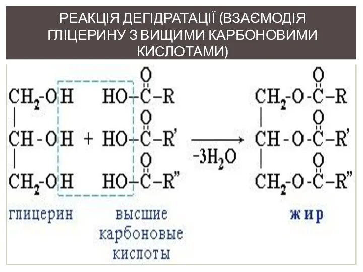 Реакція дегідратації (взаємодія гліцерину з вищими карбоновими кислотами)