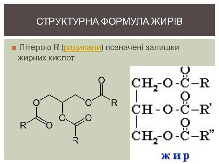 Літерою R (радикали) позначені залишки жирних кислот Структурна формула жирів