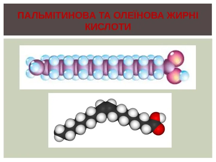 Пальмітинова та олеїнова жирні кислоти