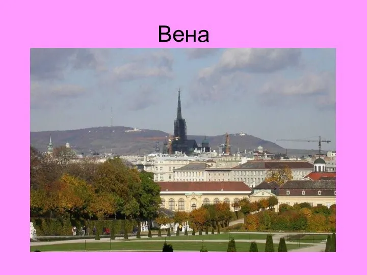 Вена