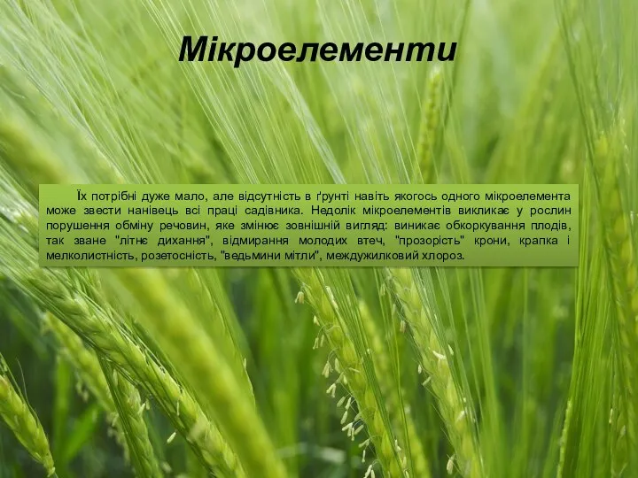 Мікроелементи Їх потрібні дуже мало, але відсутність в ґрунті навіть якогось