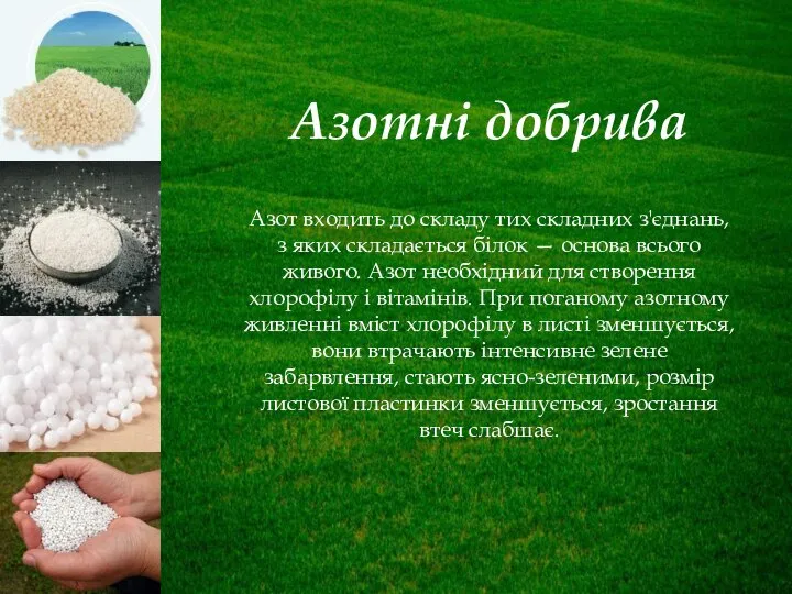 Азотні добрива Азот входить до складу тих складних з'єднань, з яких