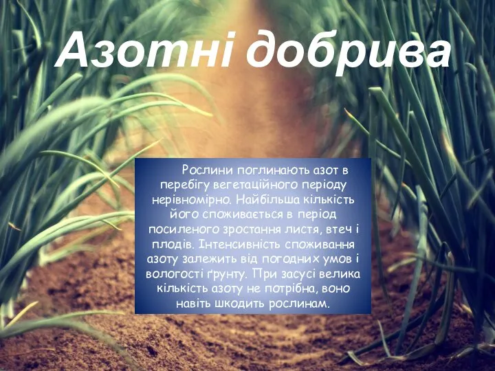 Азотні добрива Рослини поглинають азот в перебігу вегетаційного періоду нерівномірно. Найбільша