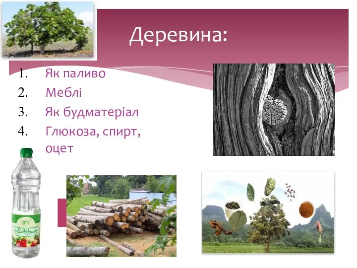 Деревина: Як паливо Меблі Як будматеріал Глюкоза, спирт, оцет