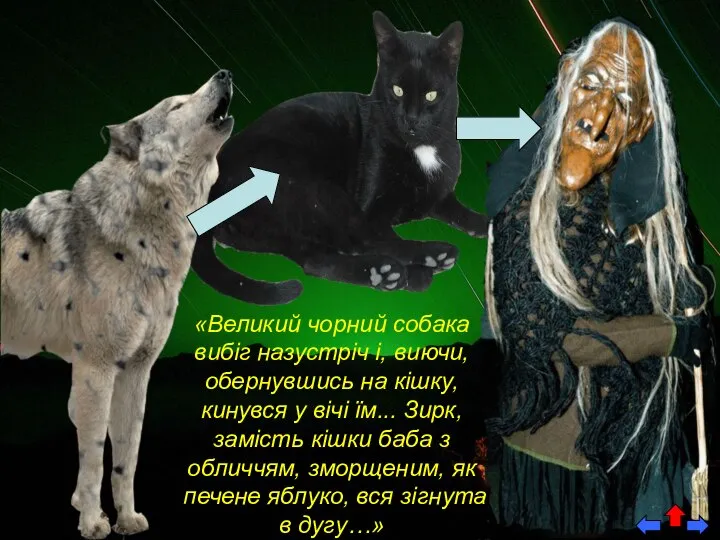 «Великий чорний собака вибіг назустріч і, виючи, обернувшись на кішку, кинувся