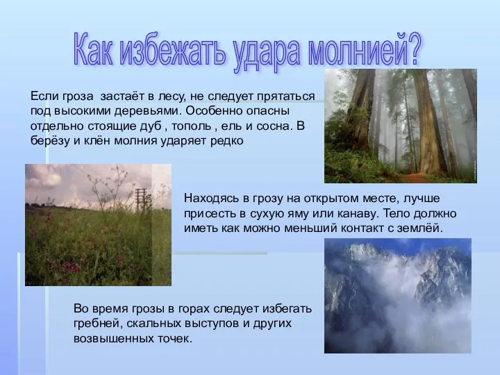 Как избежать удара молнией? Если гроза застаёт в лесу, не следует