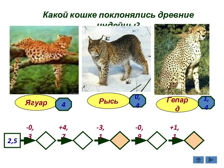 Какой кошке поклонялись древние индейцы? Гепард Ягуар Рысь 2,5 -0,3 -3,1