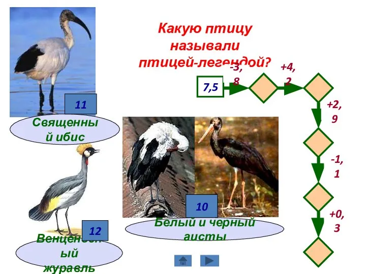 Какую птицу называли птицей-легендой? Венценосный журавль 7,5 -3,8 +4,2 -1,1 +2,9 +0,3 12 Вычисли устно.