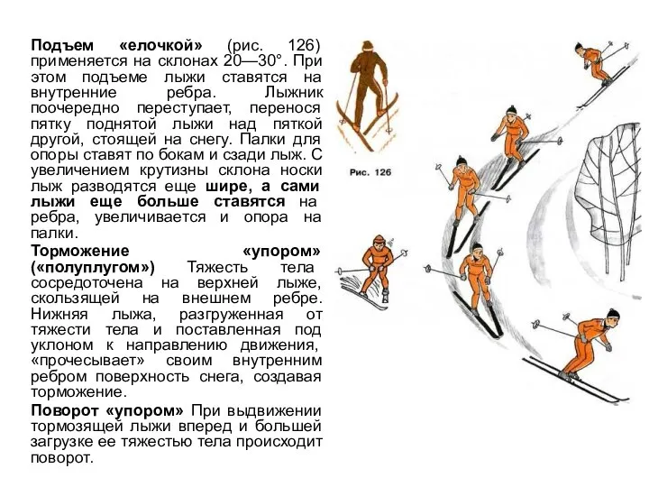 Подъем «елочкой» (рис. 126) применяется на склонах 20—30°. При этом подъеме