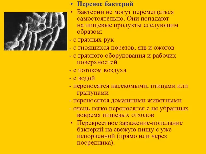 Перенос бактерий Бактерии не могут перемещаться самостоятельно. Они попадают на пищевые