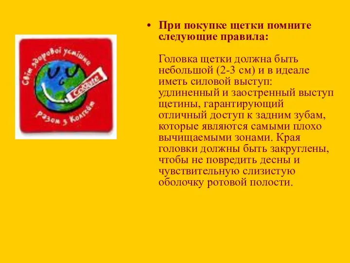 При покупке щетки помните следующие правила: Головка щетки должна быть небольшой