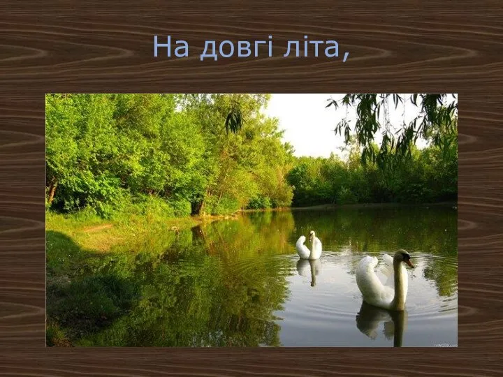 На довгі літа,