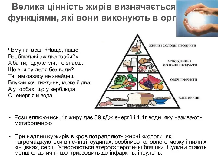 Розщеплюючись, 1г жиру дає 39 кДж енергії і 1,1г води, яку