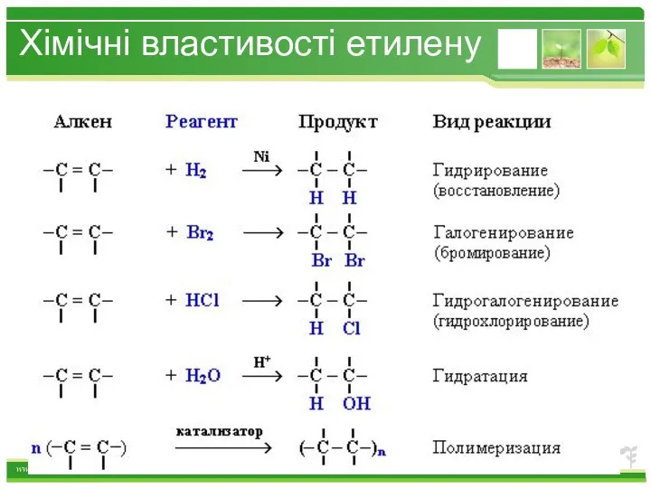 Хімічні властивості етилену